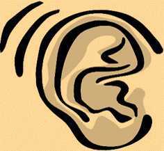 Science Class 3 Human Body