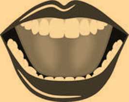 Science Class 3 Human Body