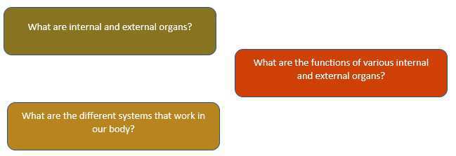 Science Class 3 Human Body