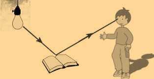 Science Class 3 Light, Sound and Force