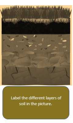 Science Class 3 Our Environment