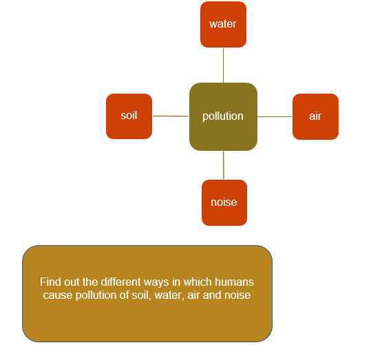 Science Class 3 Our Environment