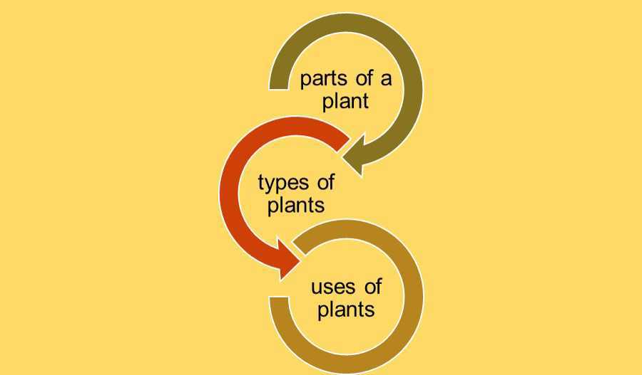 Science Class 3 Plants and Animals