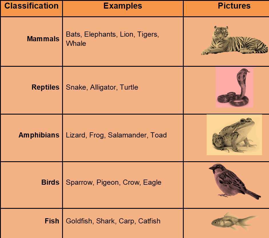 Science Class 4 Animals
