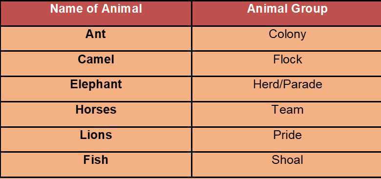 Science Class 4 Animals
