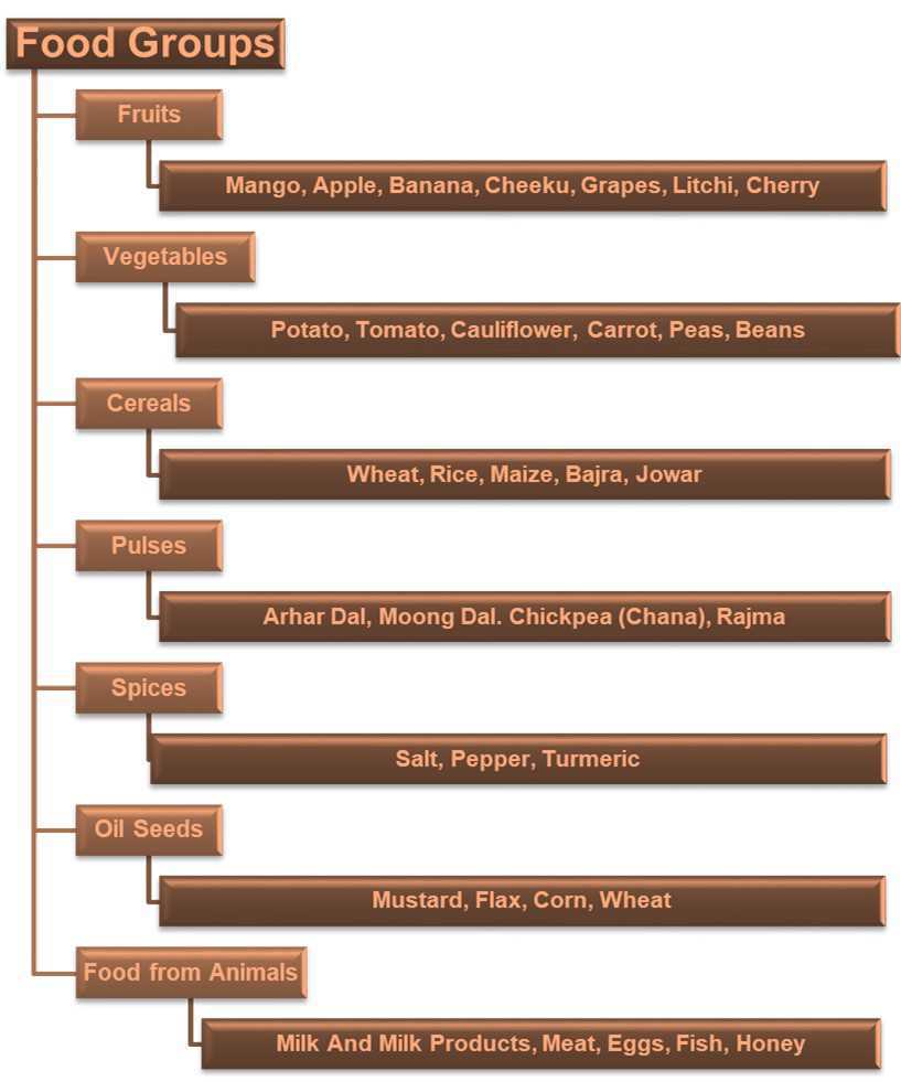 Science Class 4 Food and Digestion