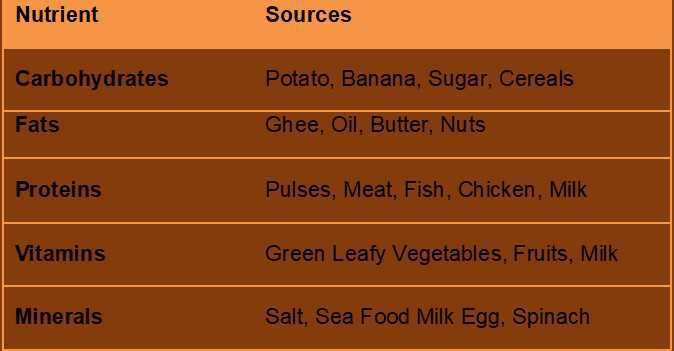 Science Class 4 Food and Digestion 