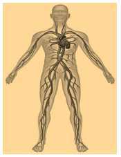 Science Class 4 Human Body and Health