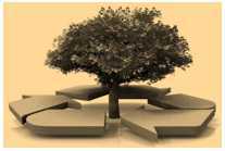 Science Class 4 Our Environment