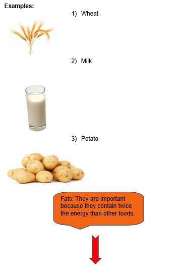 Science Class 5 Human Body and Health Example 1