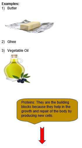 Science Class 5 Human Body and Health Example 2