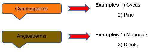 Science Class 5 Plants and Food