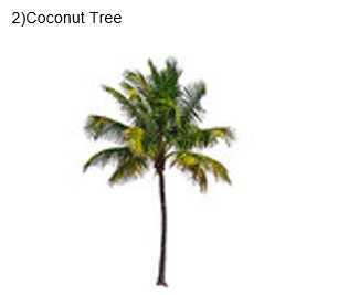 Science Class 5 Plants and Food 