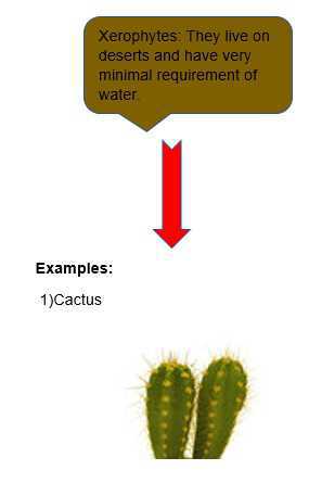 Science Class 5 Plants and Food