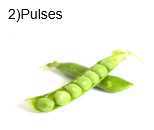 Science Class 5 Plants and Food