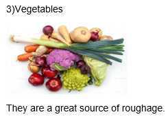 Science Class 5 Plants and Food