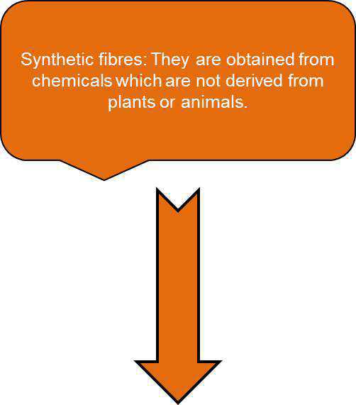 Science Class 6 Fibre to Fabric synthetic fibers