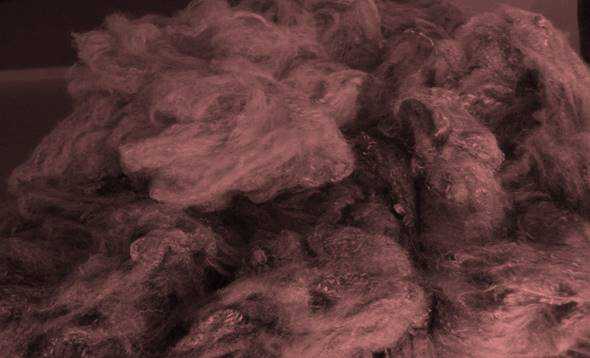 Science Class 6 Fibre to Fabric polyester