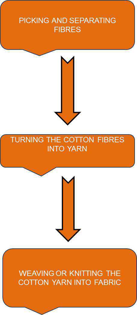 Science Class 6 Fibre to Fabric process of truning cotton fiber in fabric