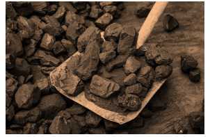 Science Class 8 Coal and Petroleum