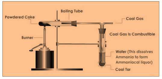 Science Class 8 Coal and Petroleum