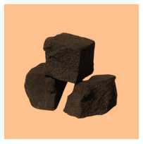 Science Class 8 Coal and Petroleum