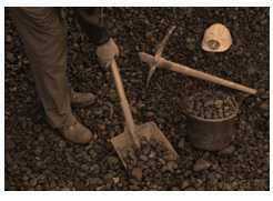 Science Class 8 Coal and Petroleum