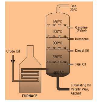 Science Class 8 Coal and Petroleum