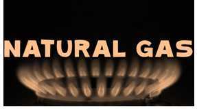 Science Class 8 Coal and Petroleum