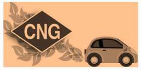 Science Class 8 Coal and Petroleum