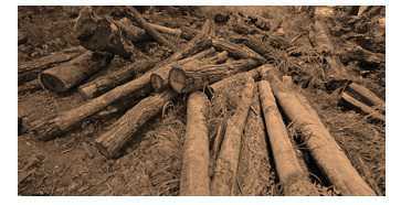 Science Class 8 Conservation of Plants and Animals