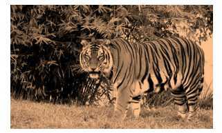 Science Class 8 Conservation of Plants and Animals