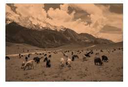 Science Class 8 Conservation of Plants and Animals