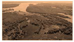 Science Class 8 Conservation of Plants and Animals