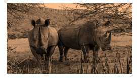 Science Class 8 Conservation of Plants and Animals