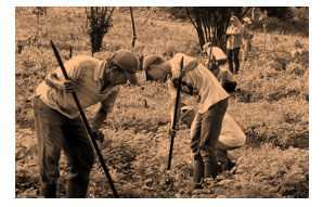 Science Class 8 Conservation of Plants and Animals