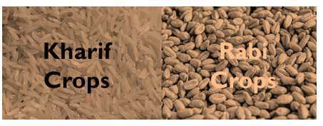 Science Class 8 Crop Production and Management rabi crop