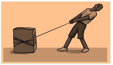 Science Class 8 Force and Pressure