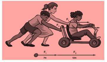 Science Class 8 Force and Pressure