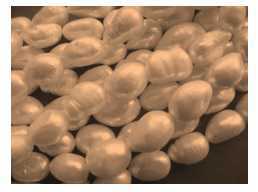 Science Class 8 Metals and Non-metals 