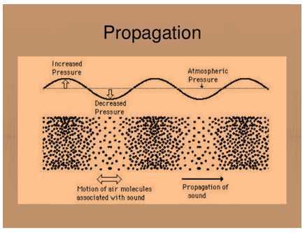 Science Class 8 Sound