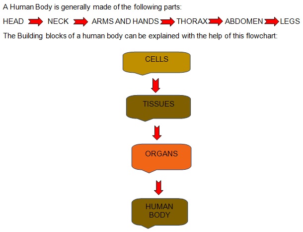 Science Class 9 Why do we fall ill basics