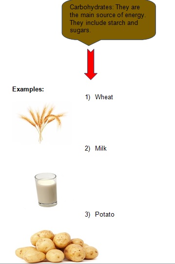 Science Class 9 Why do we fall ill carbohydrates