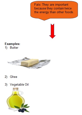 Science Class 9 Why do we fall ill proteins