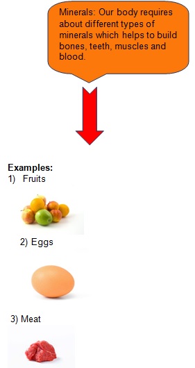 Science Class 9 Why do we fall ill minerals