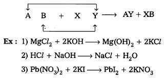 Science Class 10 Chemical Reactions and Equations Double displacement reaction