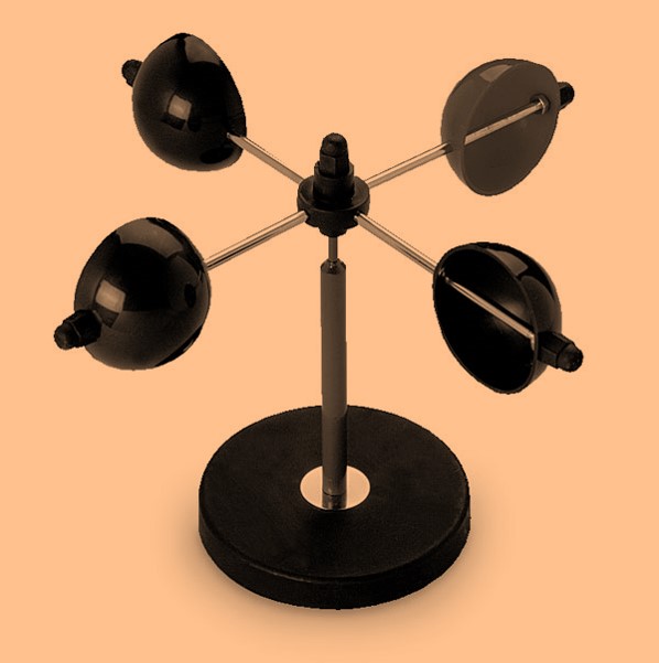 Science Class 4 Plants