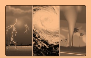 Science Class 4 Animals