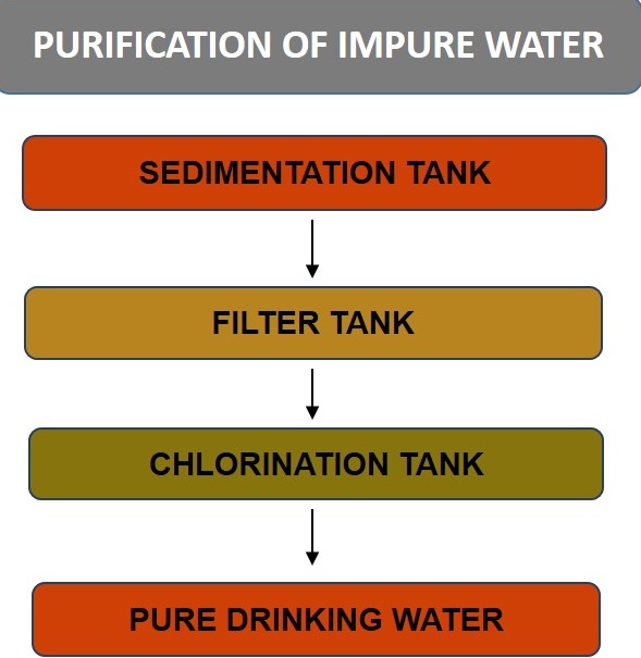 Science Class 5 Water