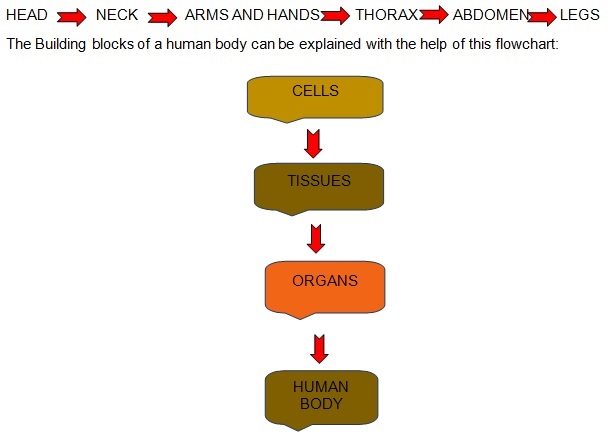 class 10 lifeprocess